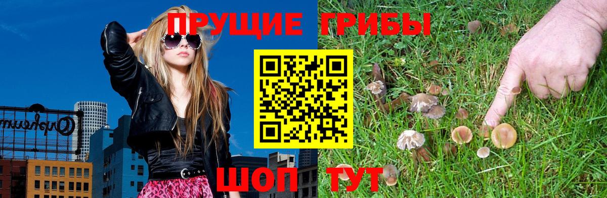 Тутаев  Псилоцибиновые грибы Psilocybe  Вход с VPN  Галлюциногенные грибы мухоморы 